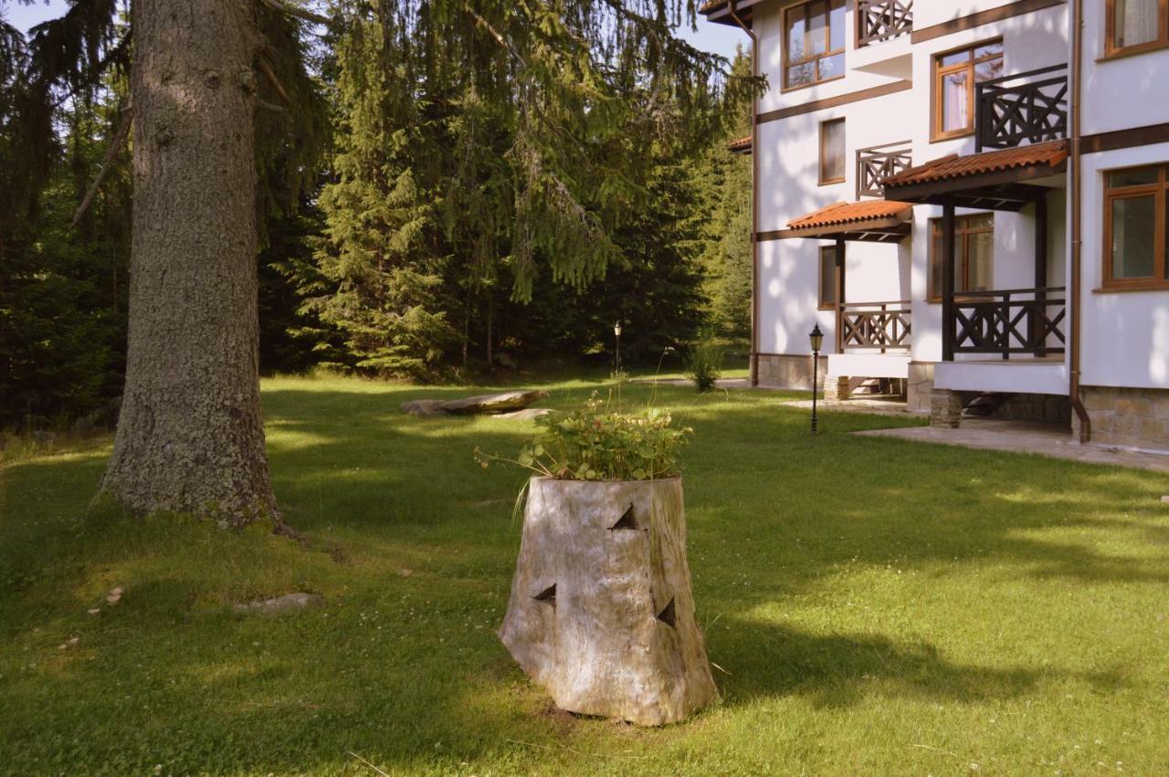 Northstar Ski Apartment In Mountain Lake Hotel Παμπόροβο Εξωτερικό φωτογραφία