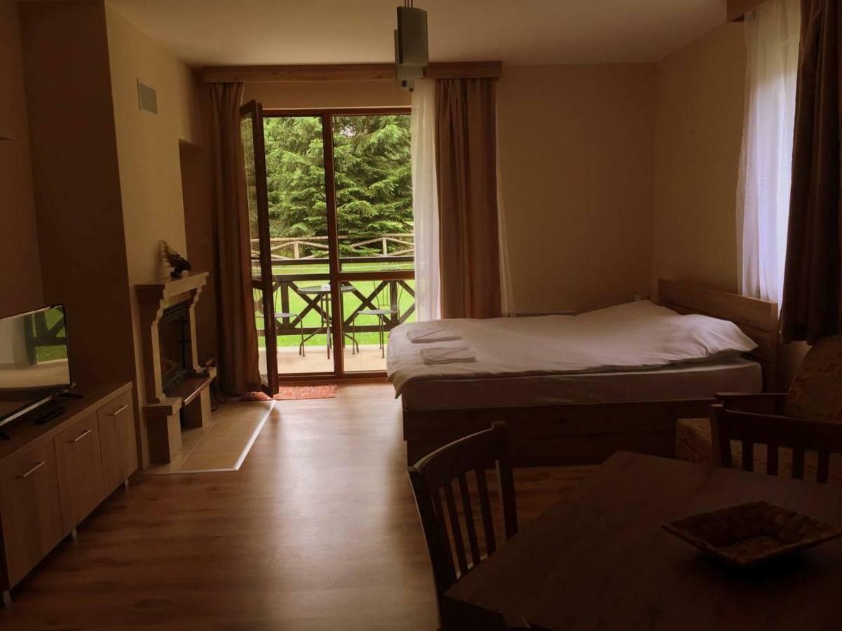 Northstar Ski Apartment In Mountain Lake Hotel Παμπόροβο Εξωτερικό φωτογραφία